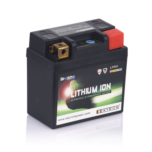 SPS SkyRich Lithium Ion Battery [LFP01]